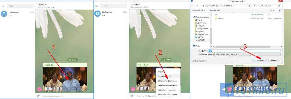 Куда сохраняются gif из telegram на айфон
