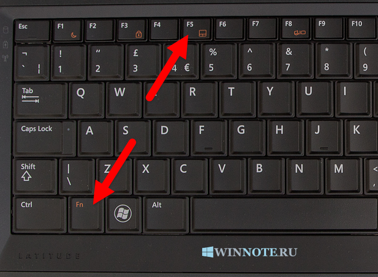 Зачем нужна секретная клавиша fn и как ею пользоваться, ошибки в работе