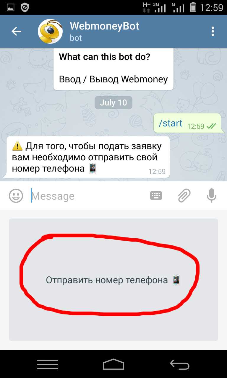 Бот узнать по номеру телефона о человеке. Телеграмм. Номер телефона бота. Телеграмм бот по номеру телефона. Названия для бота в телеграмм.