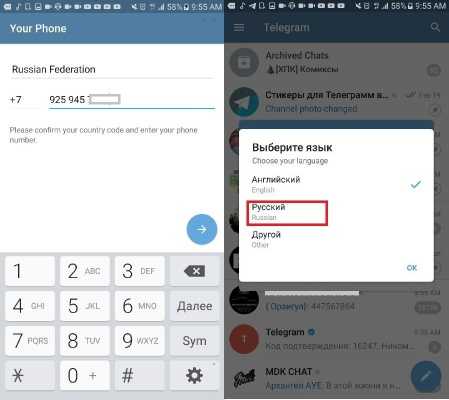 Телеграмм-бот информация о человеке: как пробить по номеру телефона и найти владельца канала, шпионские онлайн-сервисы