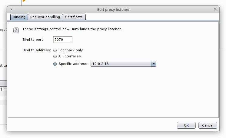 Request handler. Burp Suite брутфорс паролей. Intercept is on галочка в Burpsuite proxy setting. Burp автоматически дропать запросы. Burp settings Clear connect proxy.