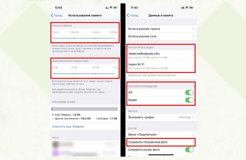 Куда сохраняются фото с телеграмма на айфоне